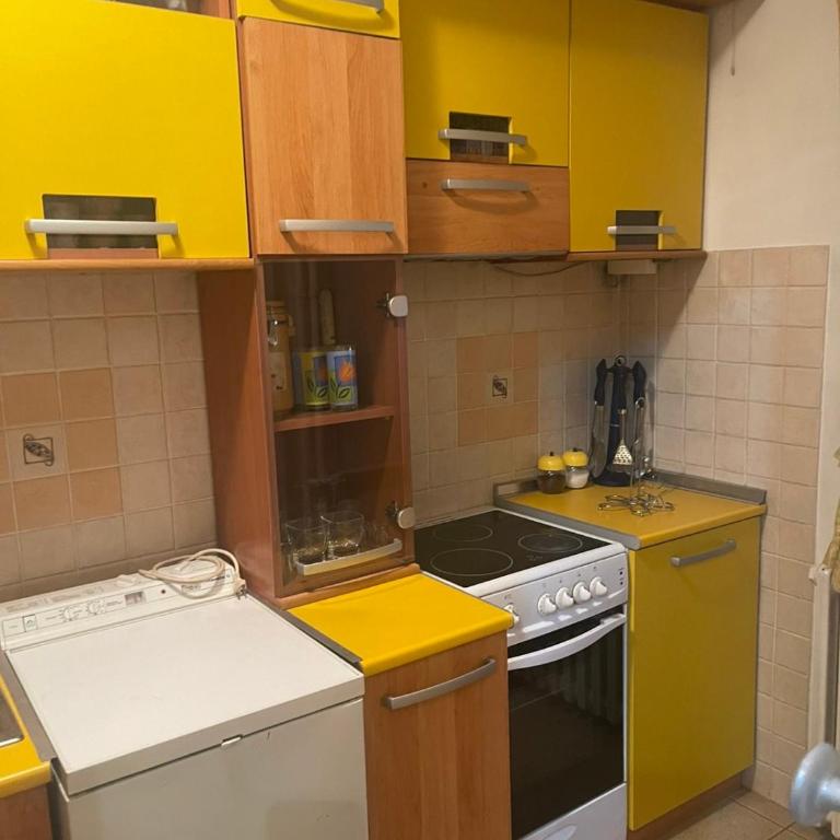 Sindjelicev trg apartment - Apartman sa 1 Spavaćom Sobom - 12