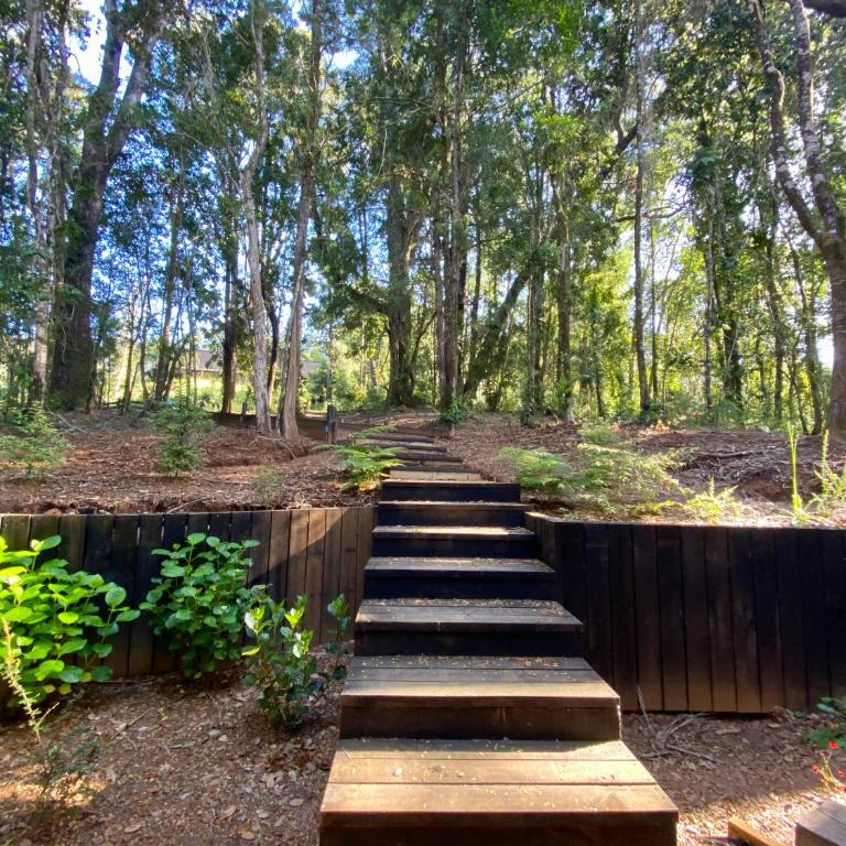 Casa en el Bosque Valdiviano - Casa - 15