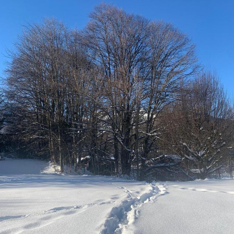Carroz d Araches , 2 pièces rénové vue montagne, 4 personnes, 3 min du centre, parking,balcon - Appartement 1 Chambre avec Balcon et Vue sur les Montagnes - 15