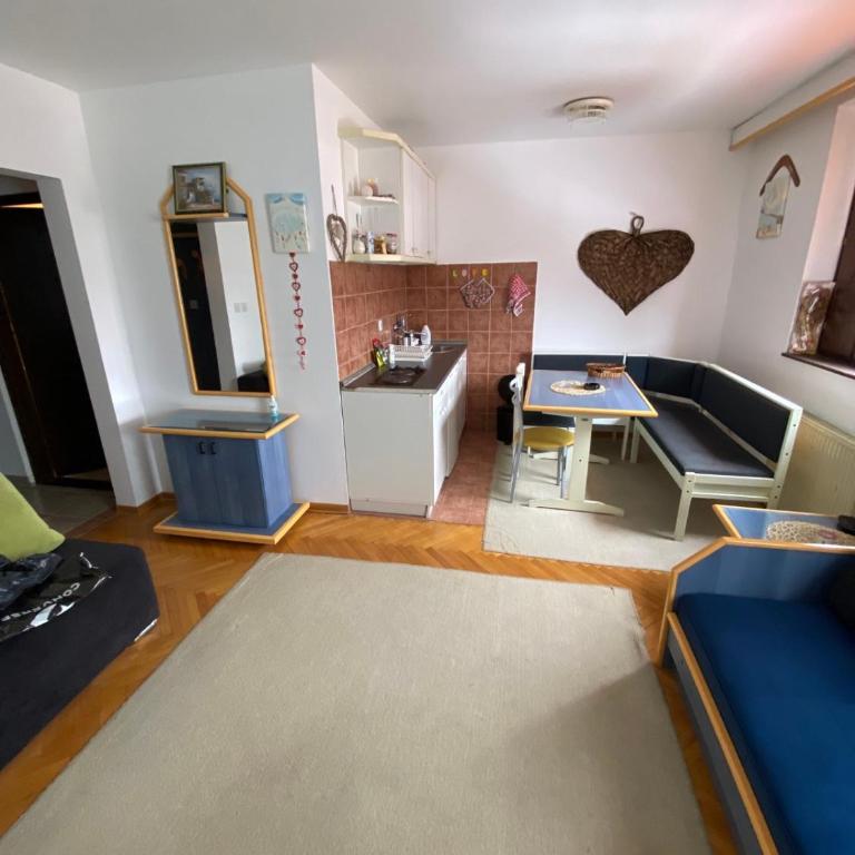 Kopaonik- Vila Ivana - One-Bedroom Apartment - 9