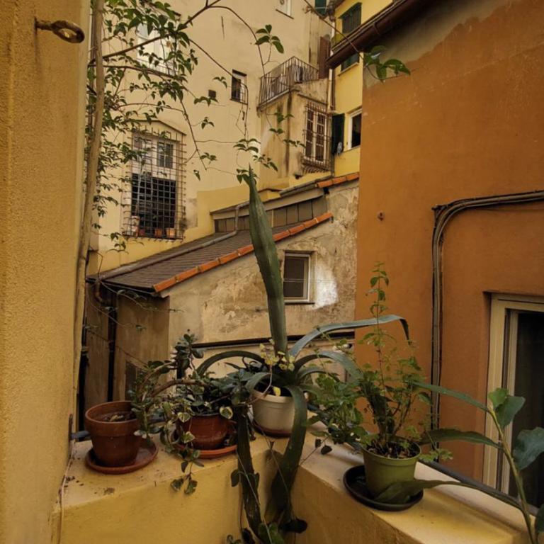 L'angolo verde in San Luca - One-Bedroom Apartment - 18