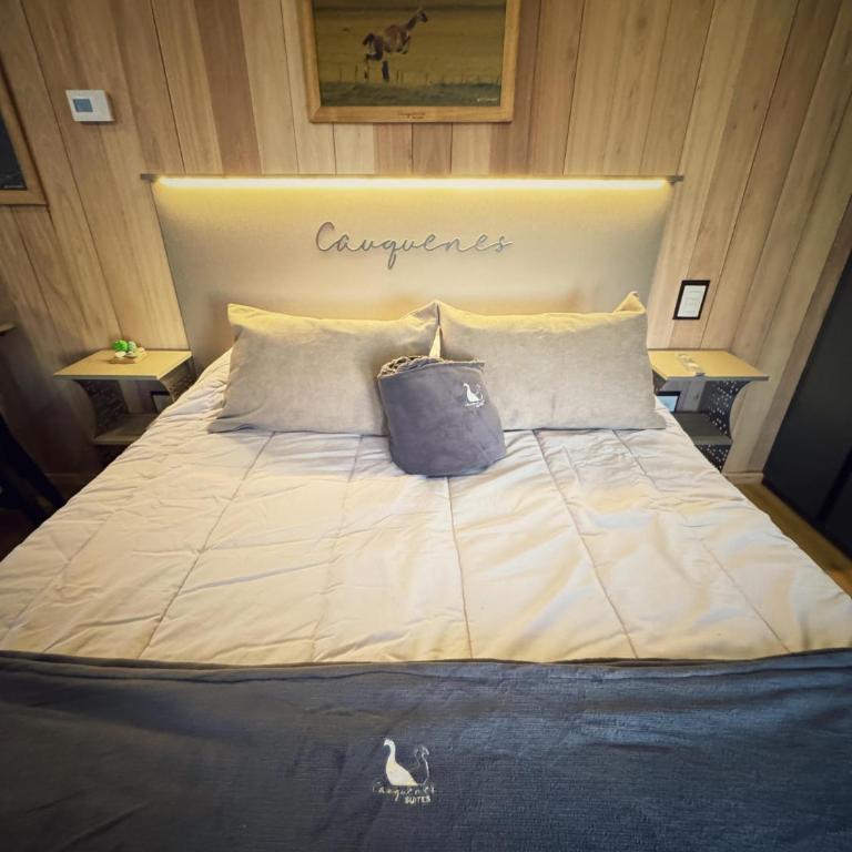 Cauquenes Suites - One-Bedroom Apartment - 5