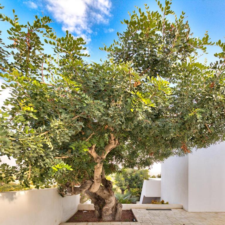 La Vista - Modern Luxury for 12 Guests - Villa - 3