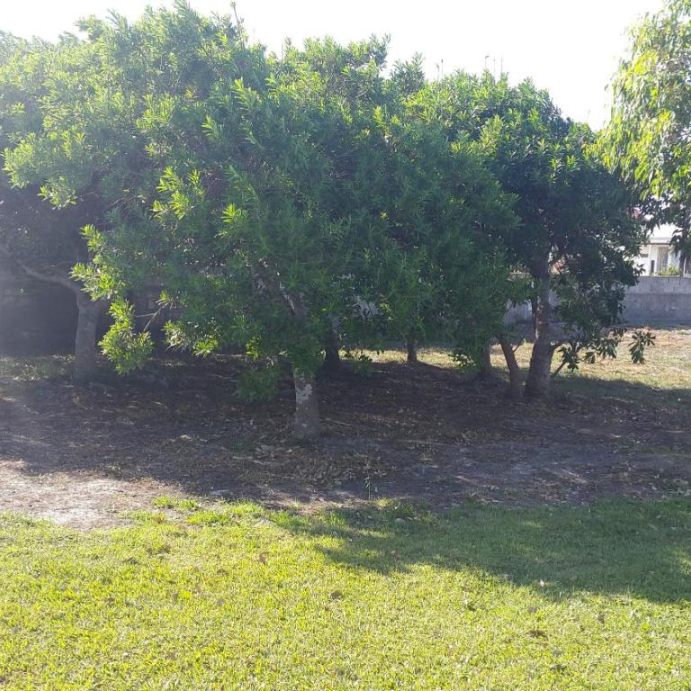 Marazul - Casa de 2 dormitorios - 87