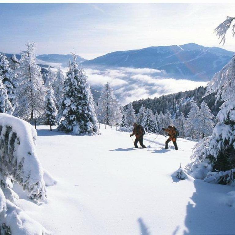 Panorama Retreat Nockblick - Ski, Hike & Relax - Apartment mit 1 Schlafzimmer - 37