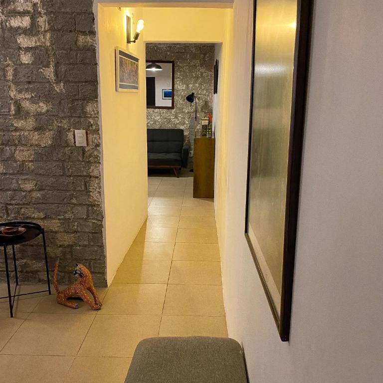 Cozy Flat Condesa - Apartamento de 1 dormitorio - 5