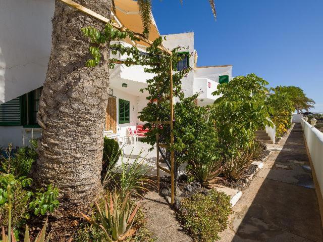 Apartamento Nire Lula en la misma playa - Apartamento - Planta baja - 94