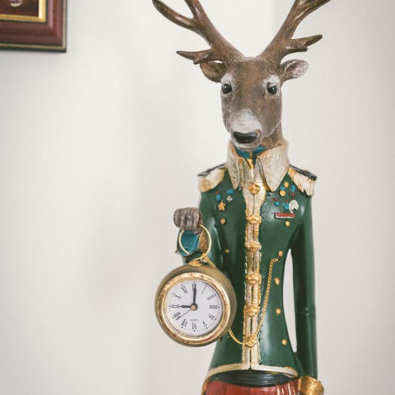 "Hunter's Suite"- at the heart of Hartberg, free Parking - Deluxe Studio - 25