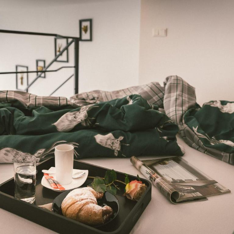 "Hunter's Suite"- at the heart of Hartberg, free Parking - Deluxe Studio - 12