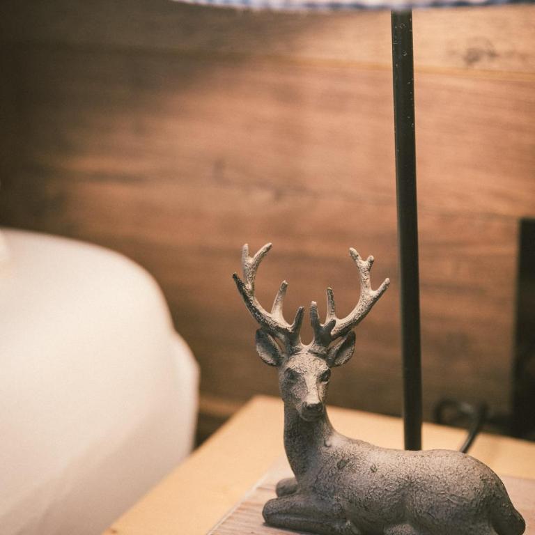 "Hunter's Suite"- at the heart of Hartberg, free Parking - Deluxe Studio - 42