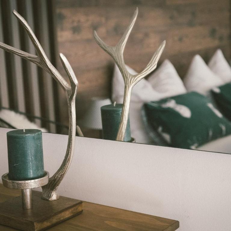 "Hunter's Suite"- at the heart of Hartberg, free Parking - Deluxe Studio - 11