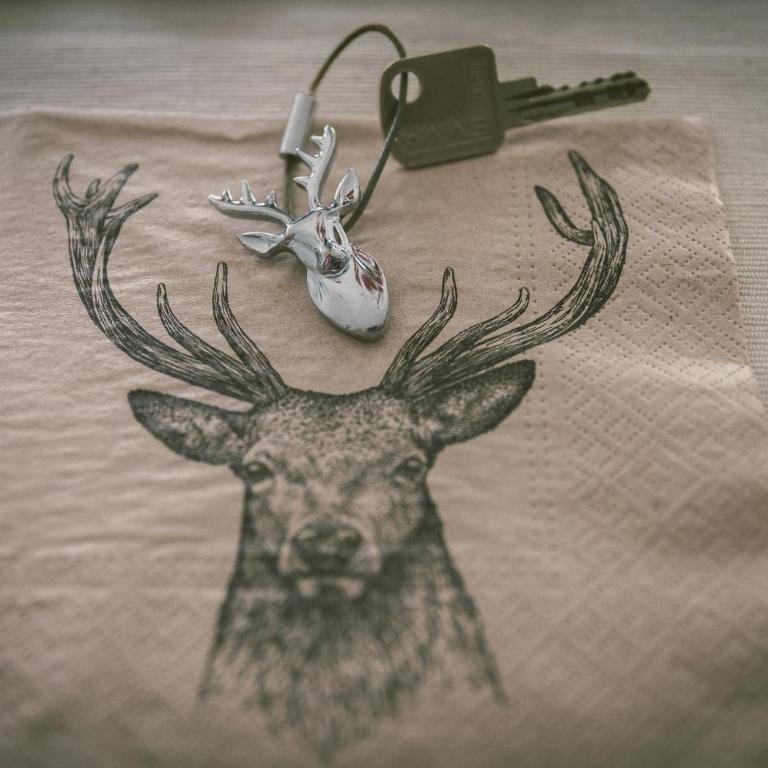 "Hunter's Suite"- at the heart of Hartberg, free Parking - Deluxe Studio - 38