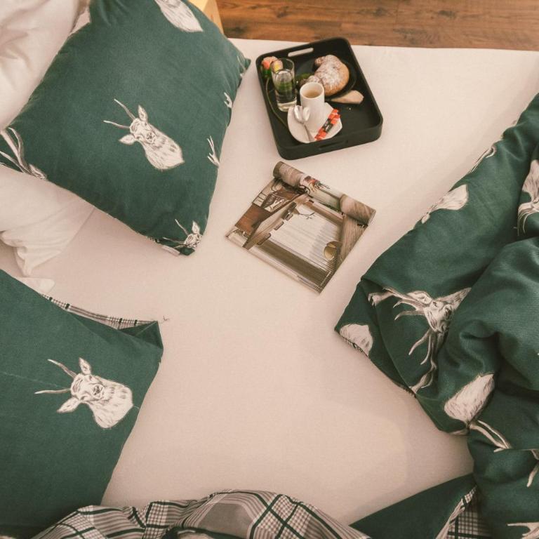 "Hunter's Suite"- at the heart of Hartberg, free Parking - Deluxe Studio - 43