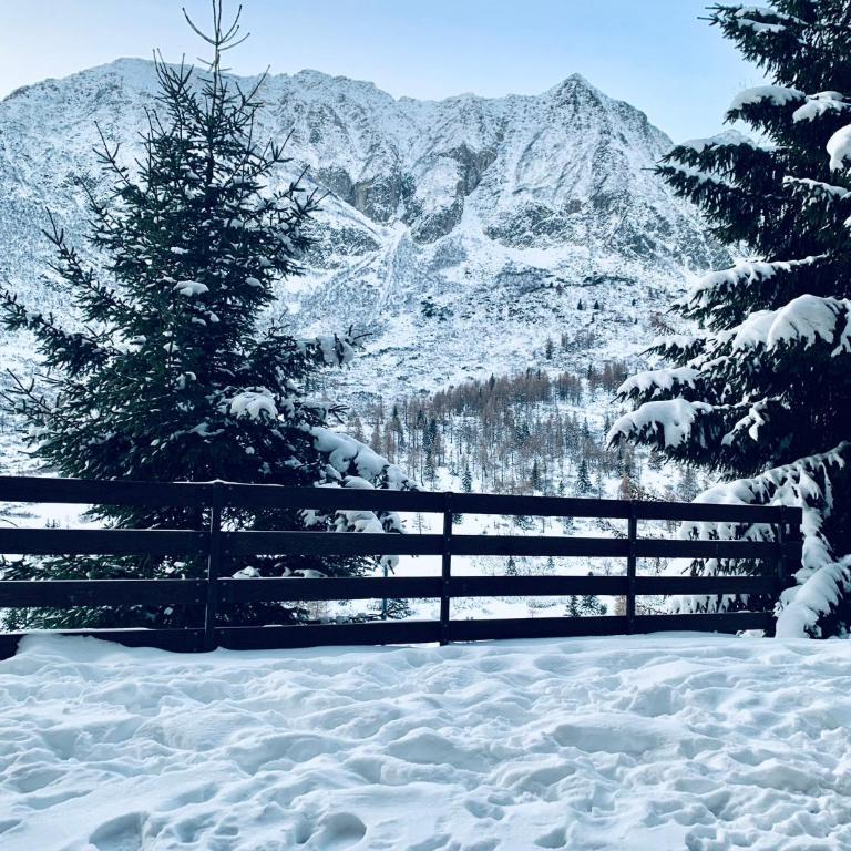 Apartman276eu Passo del Tonale - Appartamento con 2 Camere da Letto - 21