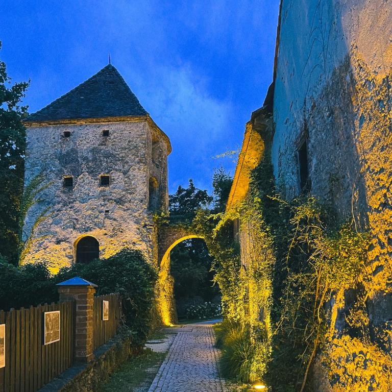 "Hunter's Suite"- at the heart of Hartberg, free Parking - Deluxe Studio - 80