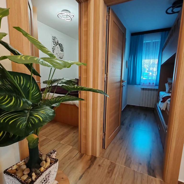 Apartman MPS Kopaonik-Free Spa - Apartman sa 2 Spavaće Sobe - 3