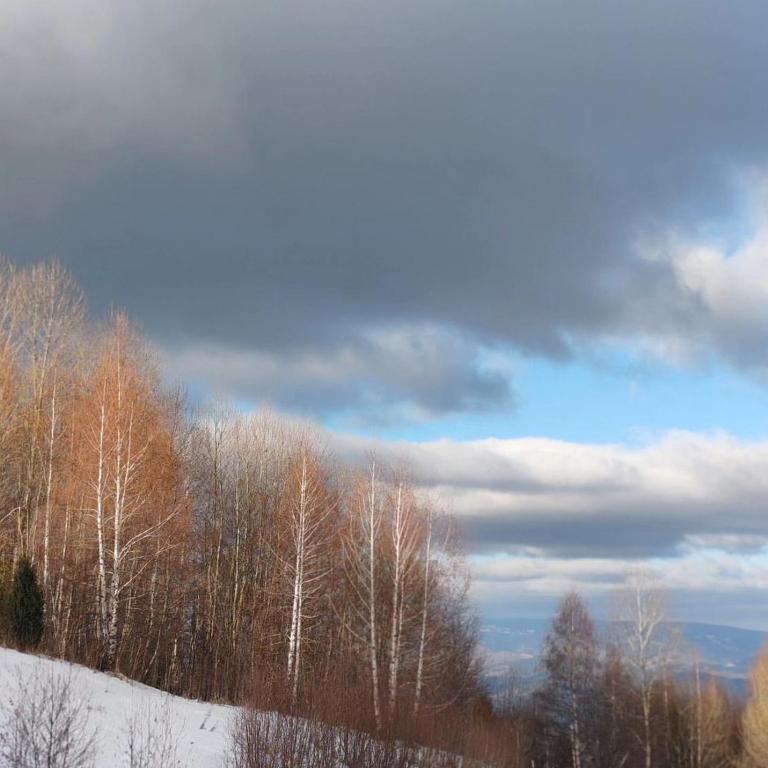 Apartman MPS Kopaonik-Free Spa - Apartman sa 2 Spavaće Sobe - 5