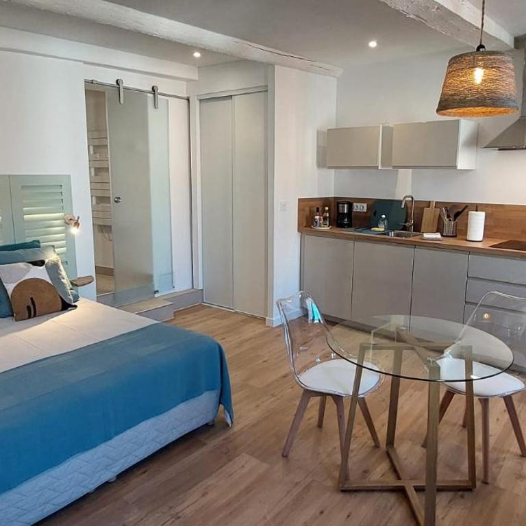 Centre historique studio rénové avec vue - Apartamento de 1 dormitorio con vistas - 2