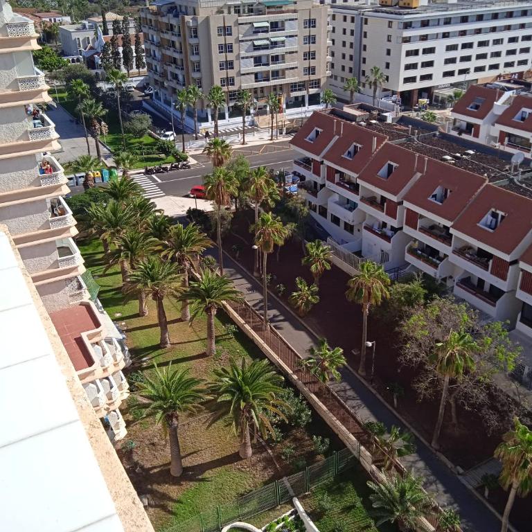 Residence Playa Honda - Appartement 1 Chambre - 2