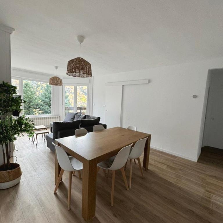 Pico Cerler - Appartement 2 Chambres - 2