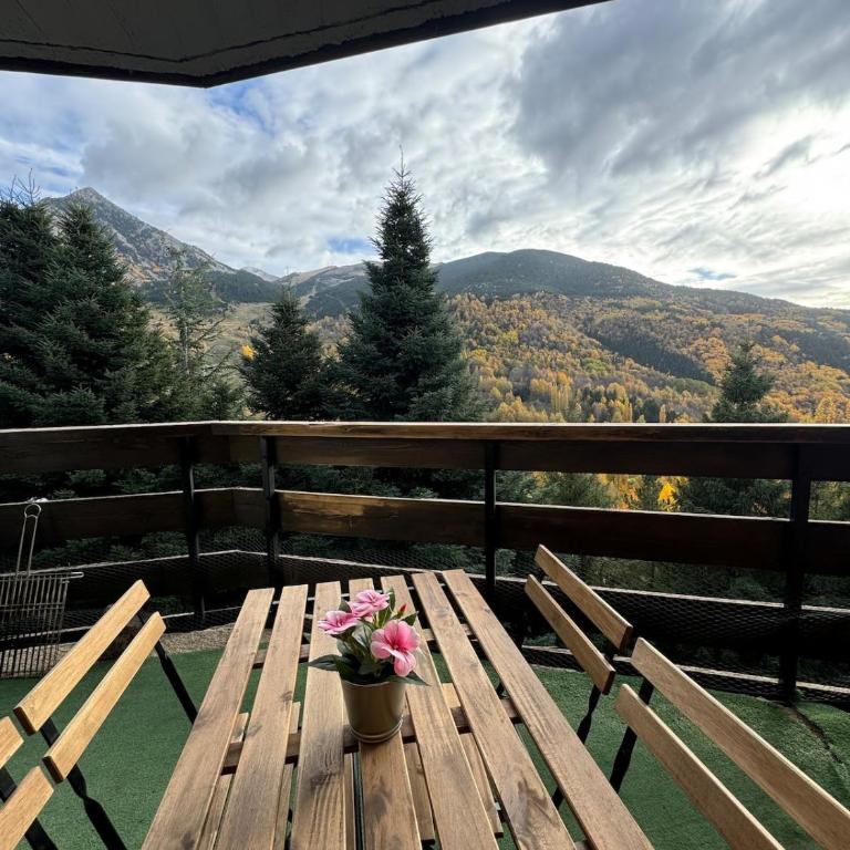 Pico Cerler - Appartement 2 Chambres - 17