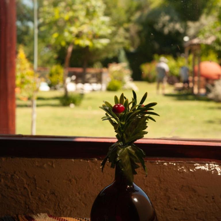 Complejo BenjaLuna - Casa de 2 dormitorios - 8