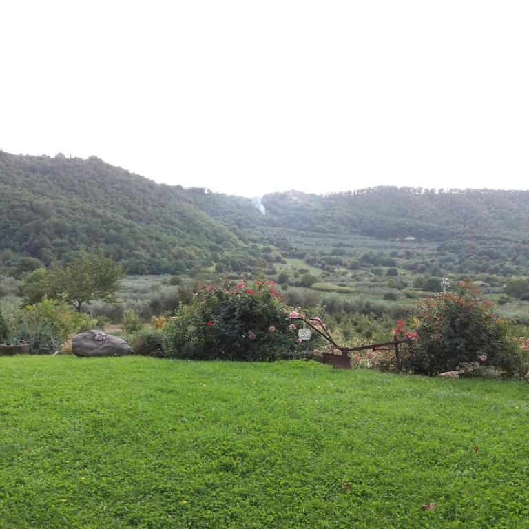Villetta immersa nella Valle di Montefiascone - Villa con 2 Camere da Letto - 8