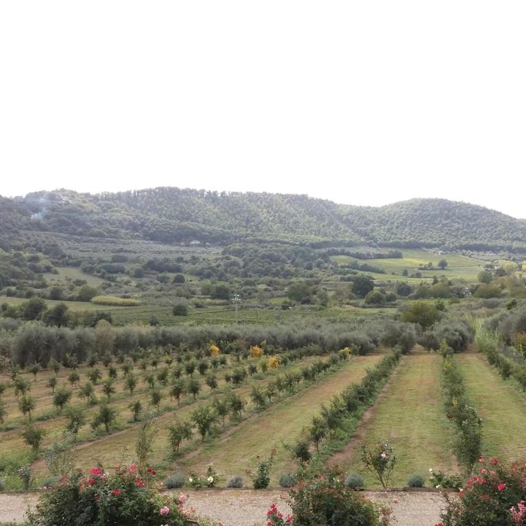 Villetta immersa nella Valle di Montefiascone - Villa con 2 Camere da Letto - 15