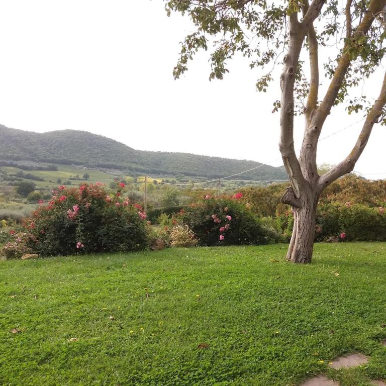 Villetta immersa nella Valle di Montefiascone - Villa con 2 Camere da Letto - 16