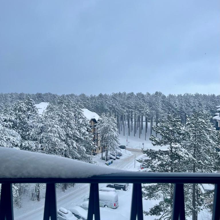 Don Balkan Zlatibor 38 - Apartman sa 1 Spavaćom Sobom - 11