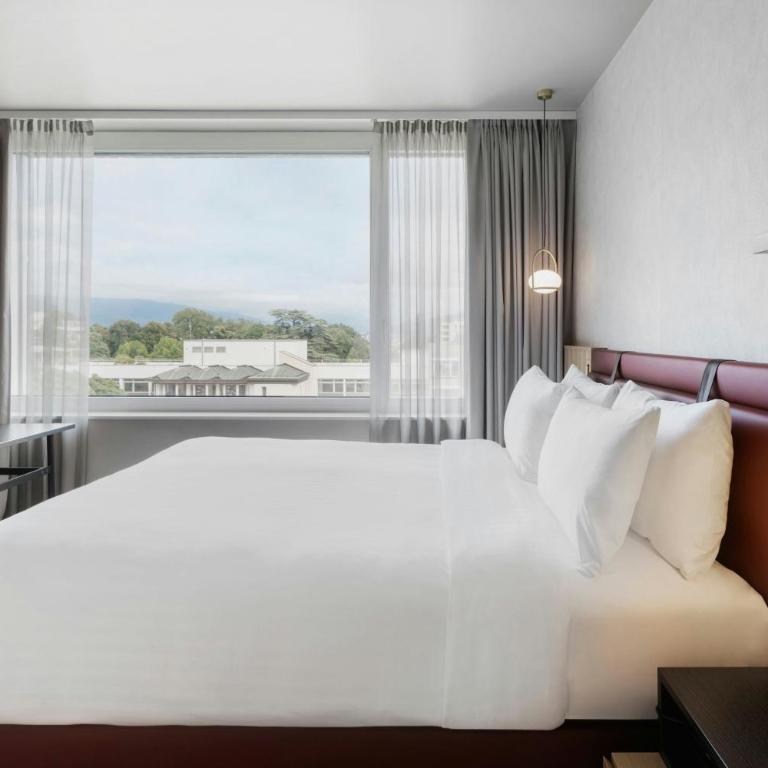 Residence Inn by Marriott Geneva City Nations - Studio Confortable avec Lit Queen-Size et Canapé-Lit - 3