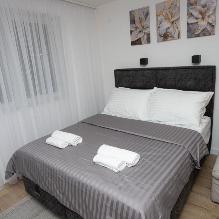 Apartman studio GRUBAC - Apartman sa 1 Spavaćom Sobom - 1