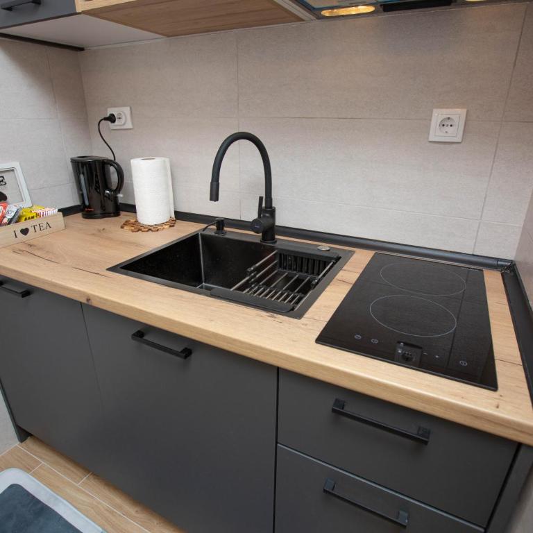 Apartman studio GRUBAC - Apartman sa 1 Spavaćom Sobom - 8