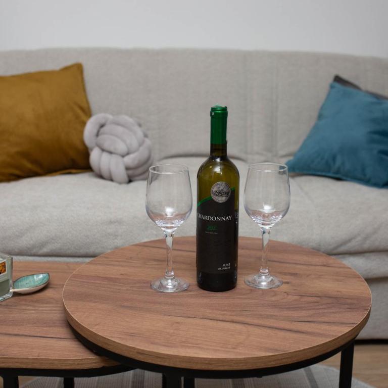 Apartman studio GRUBAC - Apartman sa 1 Spavaćom Sobom - 20