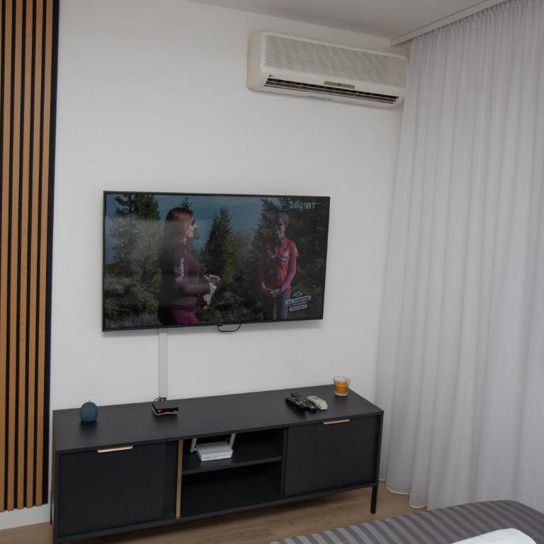 Apartman studio GRUBAC - Apartman sa 1 Spavaćom Sobom - 4