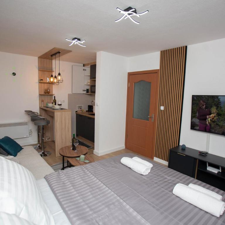 Apartman studio GRUBAC - Apartman sa 1 Spavaćom Sobom - 5