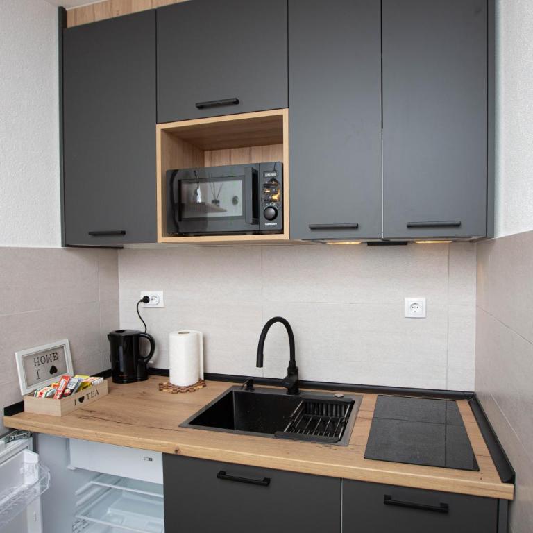 Apartman studio GRUBAC - Apartman sa 1 Spavaćom Sobom - 9