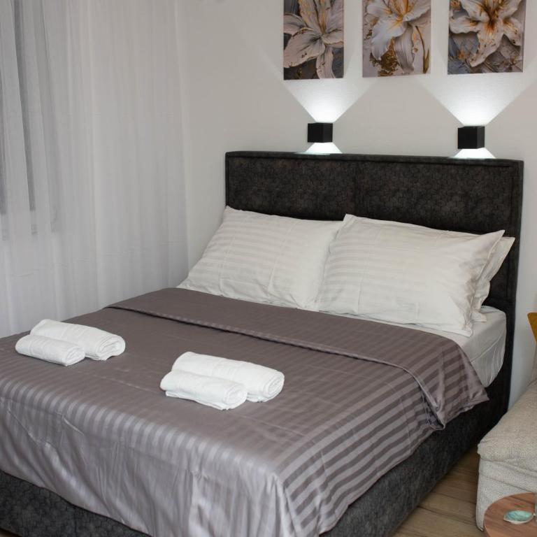 Apartman studio GRUBAC - Apartman sa 1 Spavaćom Sobom - 2