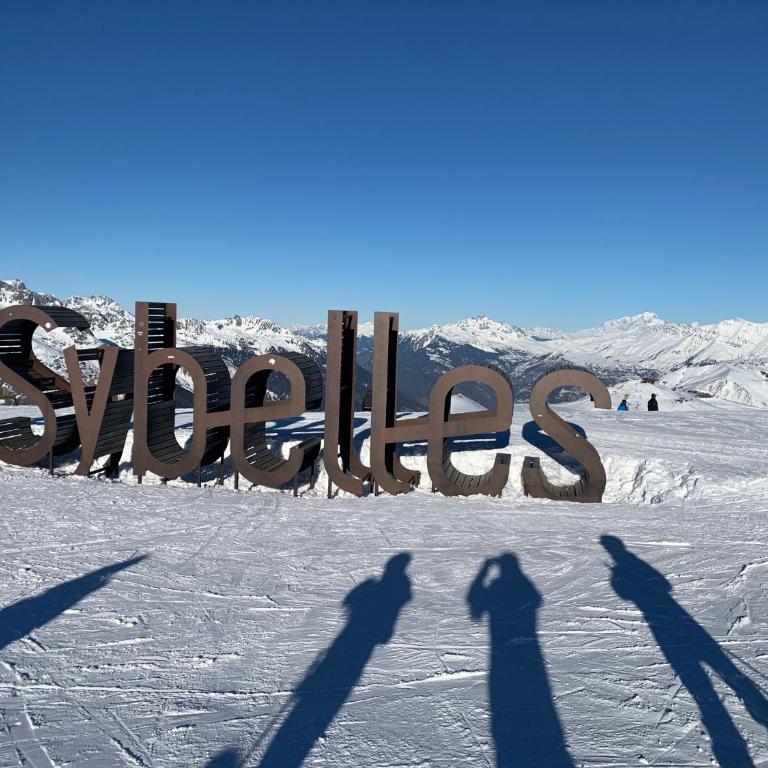 T1 La marmotte Saint Sorlin d'Arves - Appartement 1 Chambre - 33