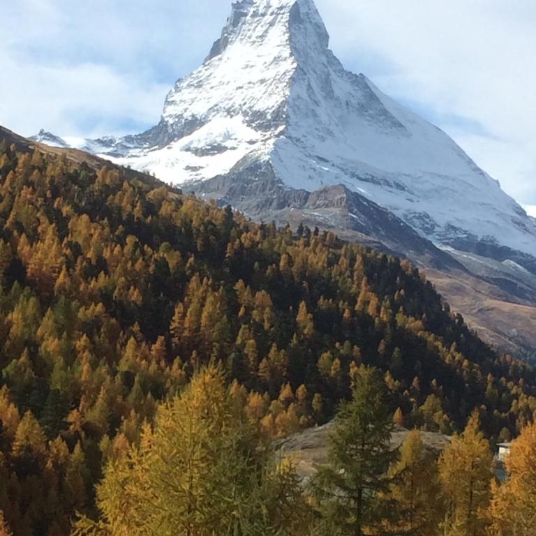 Hausroc-Zermatt - Apartamento de 1 dormitorio - 33