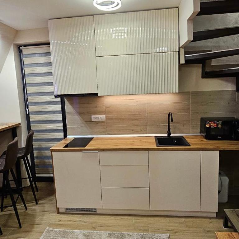 Green Hill Isidorovic Divcibare ll - Apartman sa 1 Spavaćom Sobom - 16
