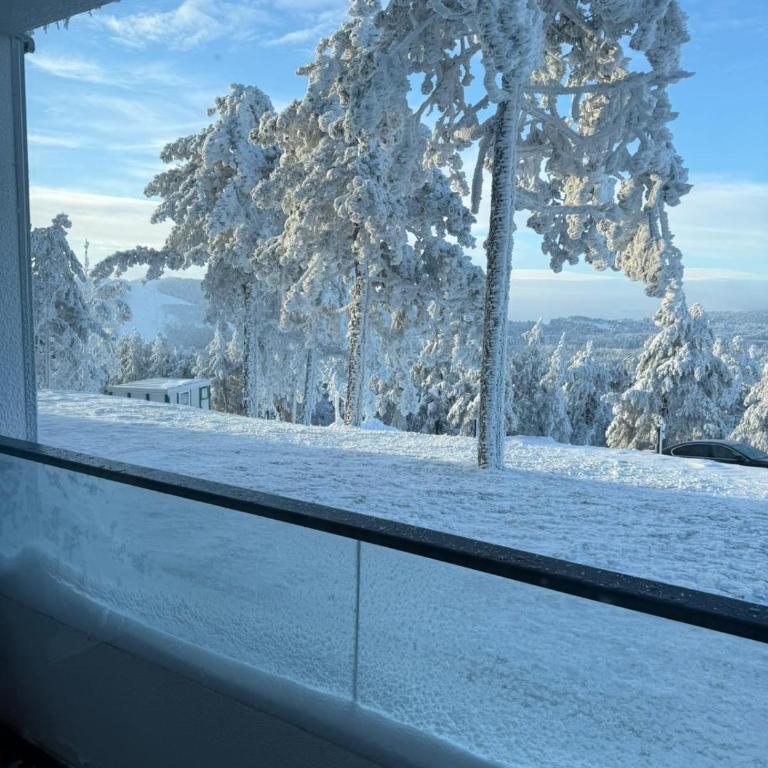 Divčibarski pogledi - Apartman - Prizemlje - 11
