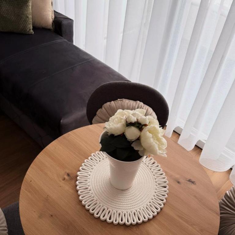 Divčibarski pogledi - Apartman s 1 Spavaćom Sobom i Balkonom - 14