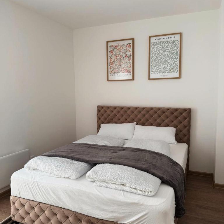 Divčibarski pogledi - Apartman s 1 Spavaćom Sobom i Balkonom - 13