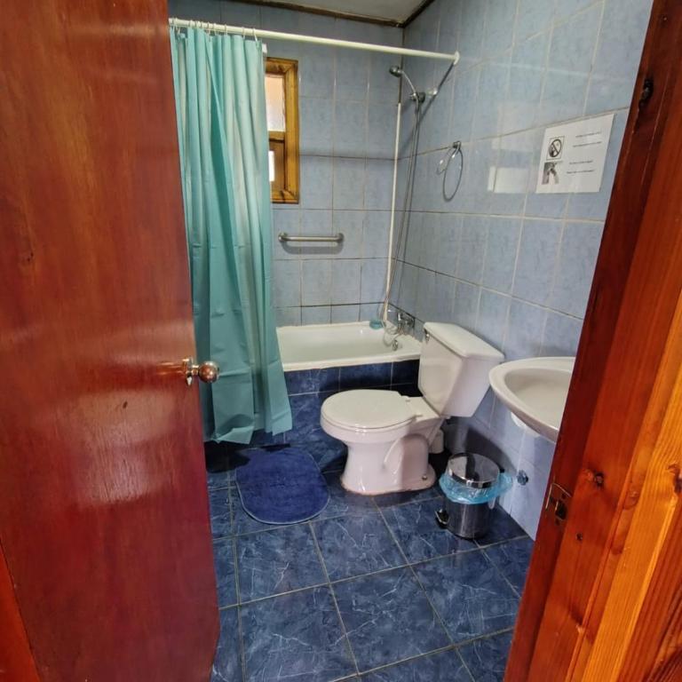 Agroturismo los Colihues 2 - Casa de 3 dormitorios - 26