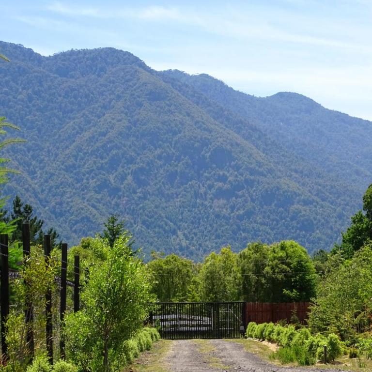 Cabañas Don Agustín Pucón - Cabaña con vistas al jardín - 10