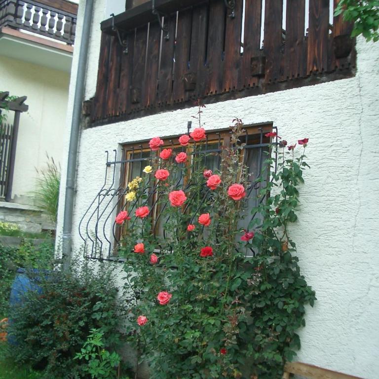 Apartment Ulli - Apartment mit 3 Schlafzimmern - 29