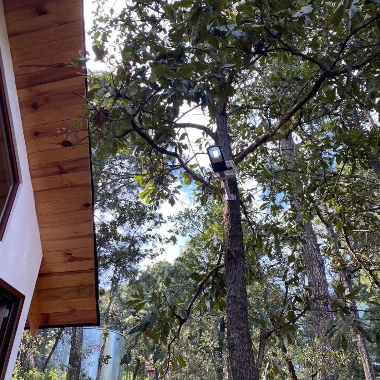 Chalet Rustico - Apartamento de 1 dormitorio con vistas al jardín - 19