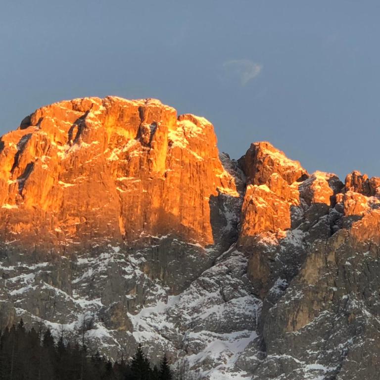 Piccola Stella Alpina - Appartamento con 1 Camera da Letto - 25