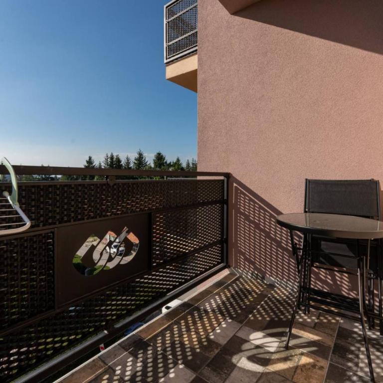 Ivona apartman Zlatibor - Apartman sa 1 Spavaćom Sobom - 4